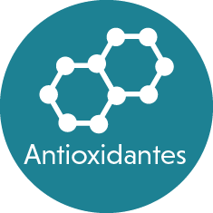 icocno de molécula con texto antioxidantes